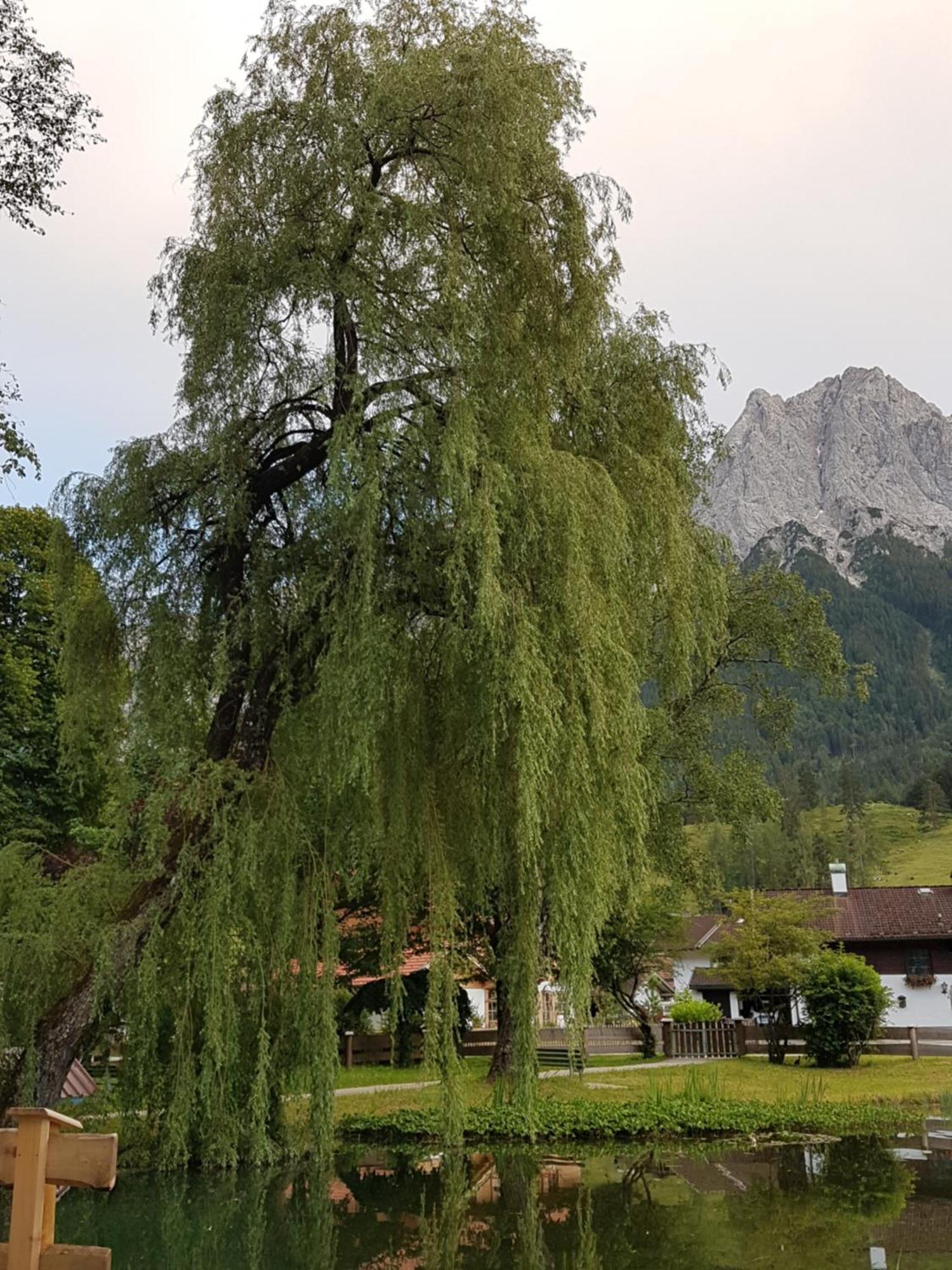 Zum Franziskaner Grainau Exteriör bild