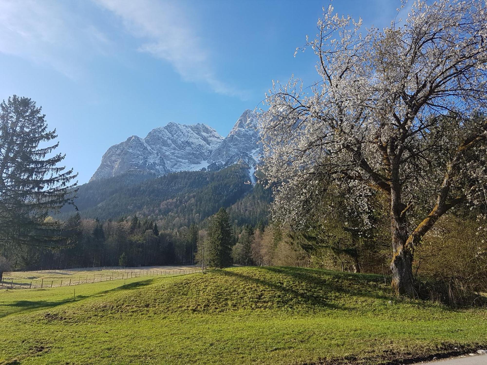 Zum Franziskaner Grainau Exteriör bild